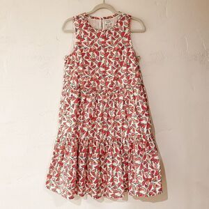 J Crew Cotton Tiered A Line Dress in Watermelon White Pink Size 4